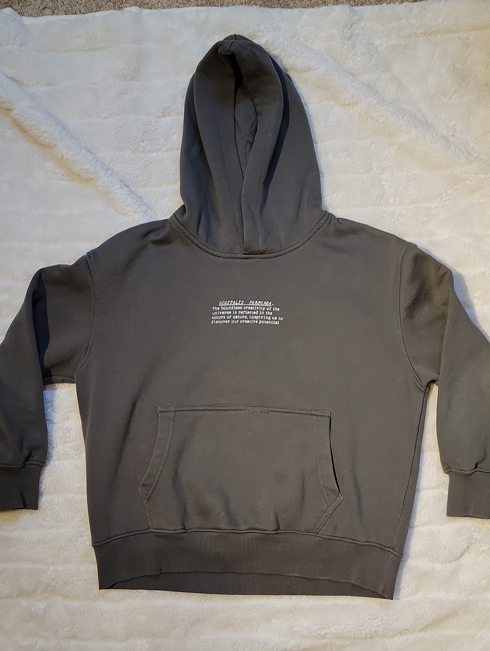 Cactus Boy's Dark Gray Crewneck Hoodie with Subtle Chest Print